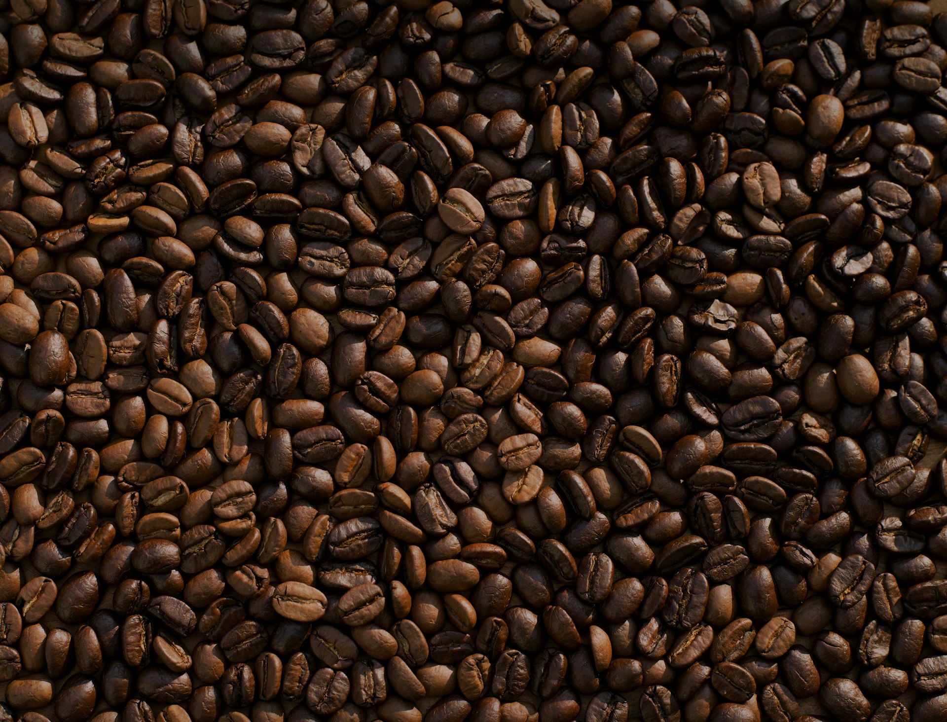 Bean Knowledge